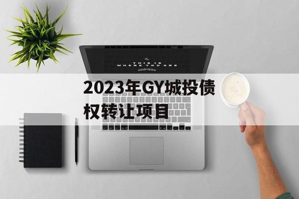 2023年GY城投债权转让项目