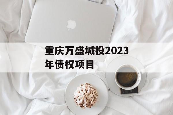 重庆万盛城投2023年债权项目