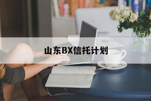 山东BX信托计划