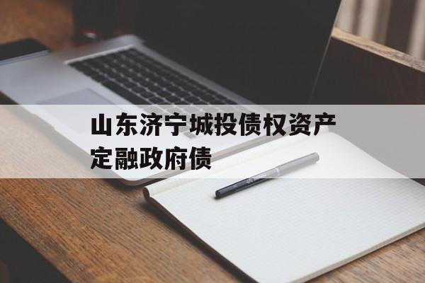 山东济宁城投债权资产定融政府债