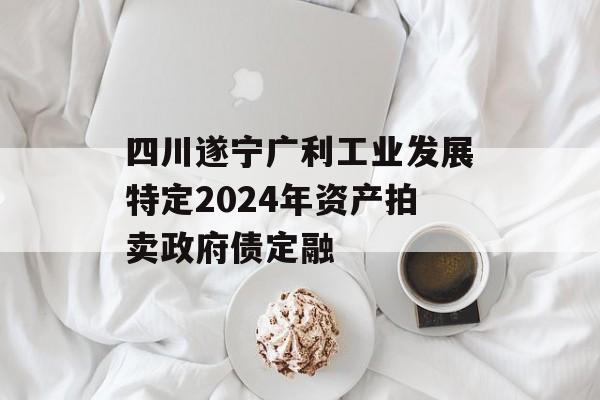 四川遂宁广利工业发展特定2024年资产拍卖政府债定融