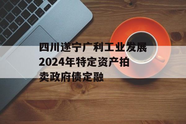 四川遂宁广利工业发展2024年特定资产拍卖政府债定融