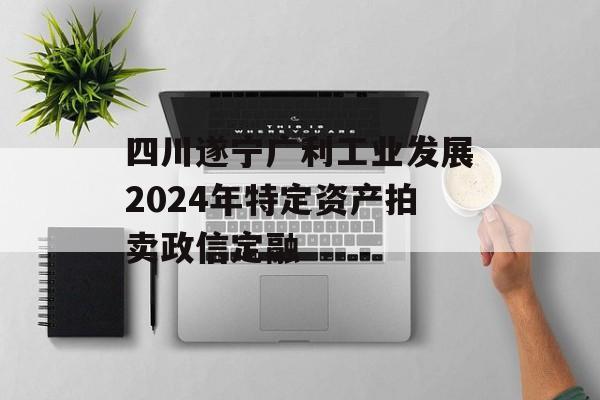 四川遂宁广利工业发展2024年特定资产拍卖政信定融