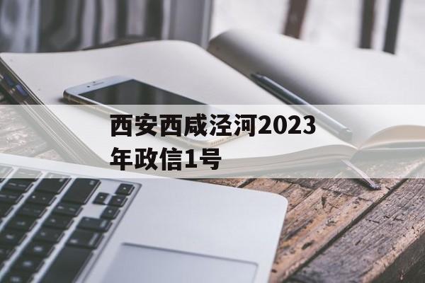 西安西咸泾河2023年政信1号