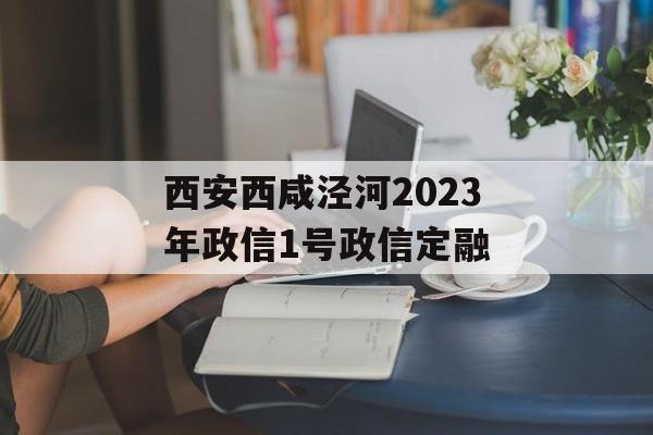 西安西咸泾河2023年政信1号政信定融