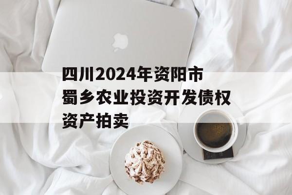 四川2024年资阳市蜀乡农业投资开发债权资产拍卖