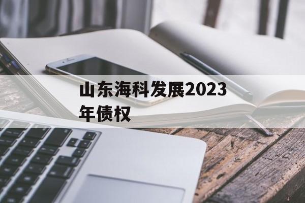 山东海科发展2023年债权