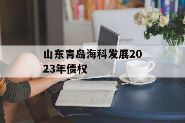 山东青岛海科发展2023年债权