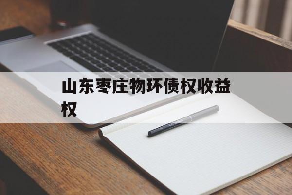 山东枣庄物环债权收益权