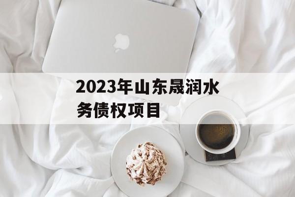 2023年山东晟润水务债权项目