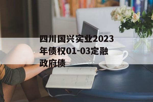 四川国兴实业2023年债权01-03定融政府债