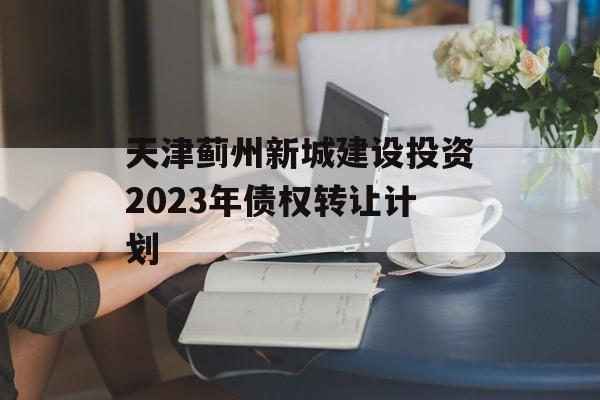 天津蓟州新城建设投资2023年债权转让计划