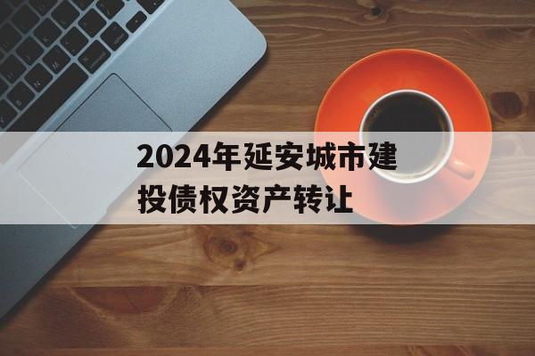 2024年延安城市建投债权资产转让