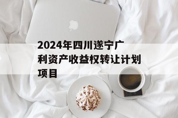 2024年四川遂宁广利资产收益权转让计划项目