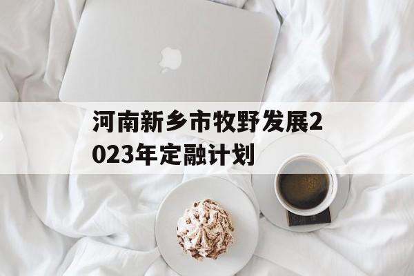 河南新乡市牧野发展2023年定融计划