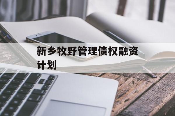 新乡牧野管理债权融资计划