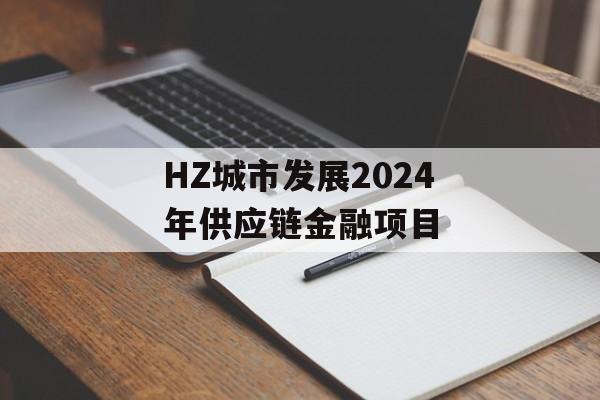 HZ城市发展2024年供应链金融项目