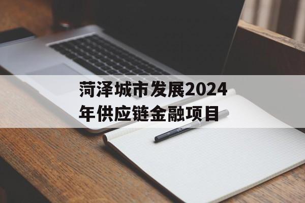 菏泽城市发展2024年供应链金融项目