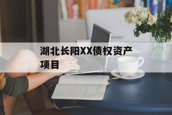 湖北长阳XX债权资产项目