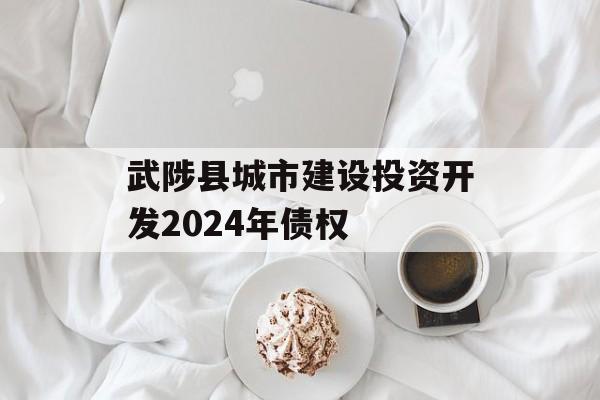 武陟县城市建设投资开发2024年债权