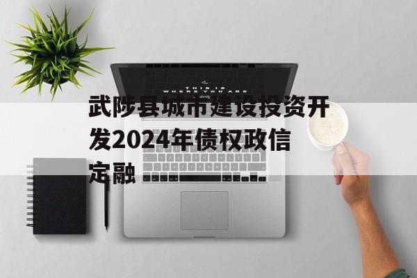 武陟县城市建设投资开发2024年债权政信定融