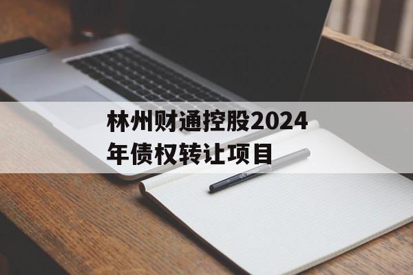 林州财通控股2024年债权转让项目