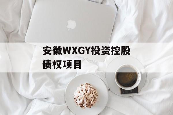 安徽WXGY投资控股债权项目