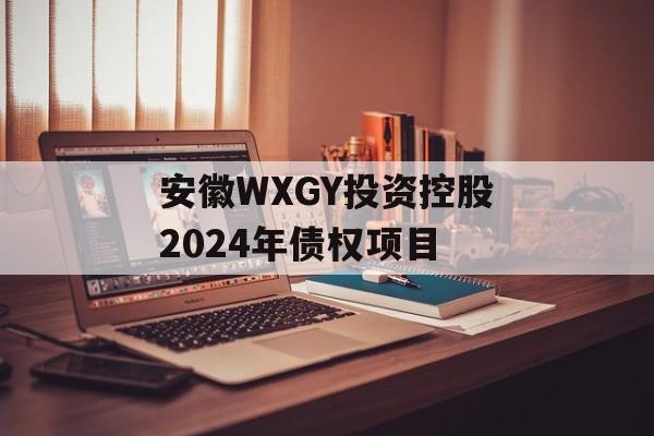 安徽WXGY投资控股2024年债权项目