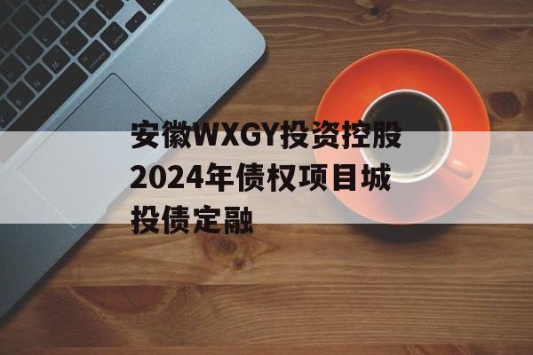 安徽WXGY投资控股2024年债权项目城投债定融