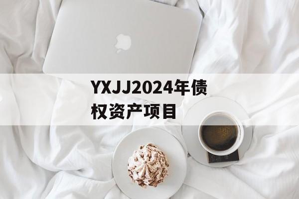 YXJJ2024年债权资产项目