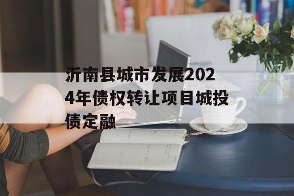 沂南县城市发展2024年债权转让项目城投债定融