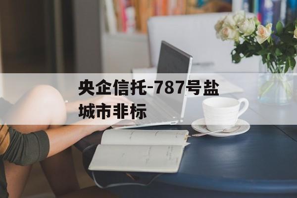 央企信托-787号盐城市非标