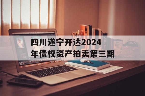 四川遂宁开达2024年债权资产拍卖第三期