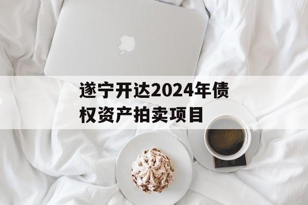 遂宁开达2024年债权资产拍卖项目