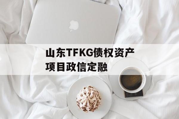 山东TFKG债权资产项目政信定融