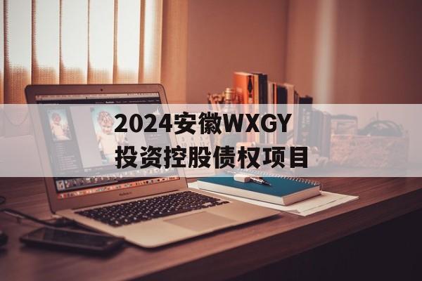 2024安徽WXGY投资控股债权项目