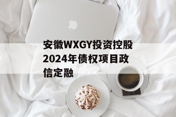 安徽WXGY投资控股2024年债权项目政信定融