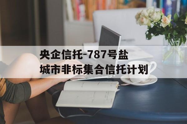 央企信托-787号盐城市非标集合信托计划