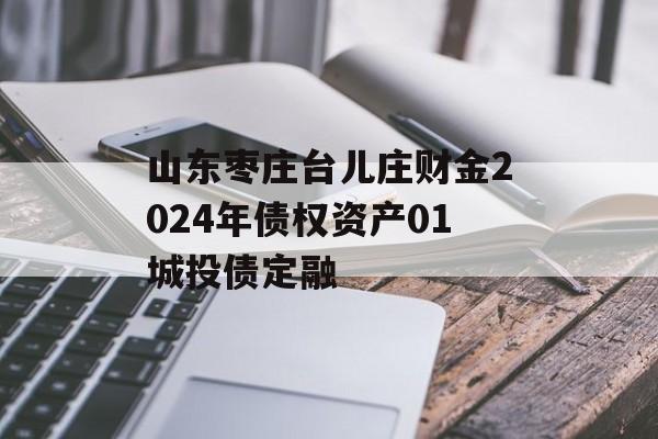 山东枣庄台儿庄财金2024年债权资产01城投债定融