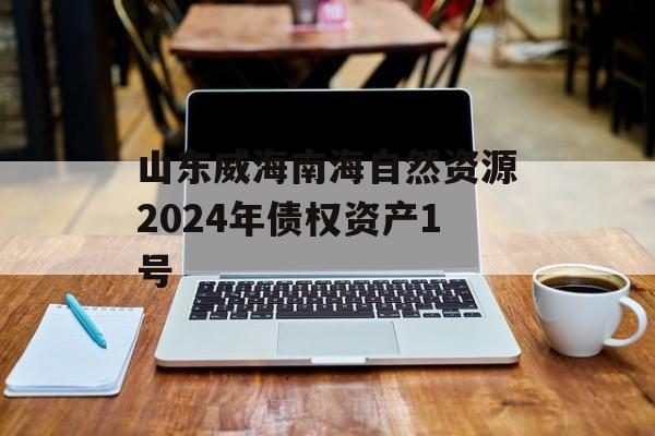 山东威海南海自然资源2024年债权资产1号