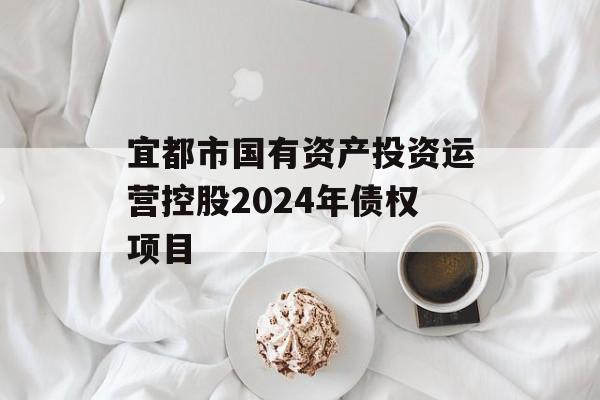 宜都市国有资产投资运营控股2024年债权项目