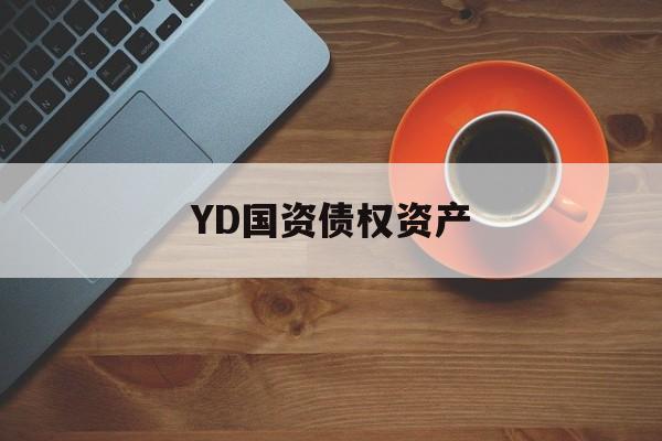 YD国资债权资产