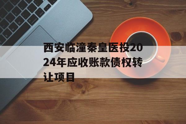 西安临潼秦皇医投2024年应收账款债权转让项目