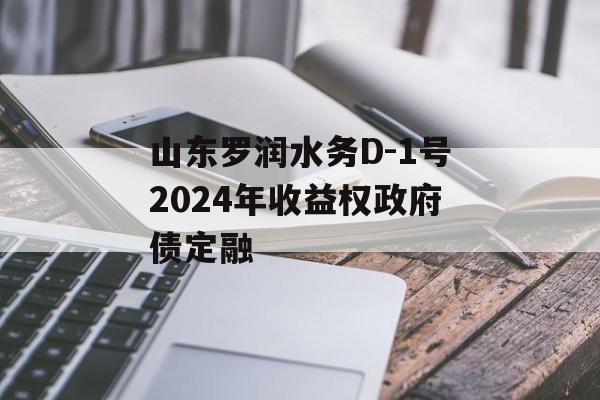 山东罗润水务D-1号2024年收益权政府债定融