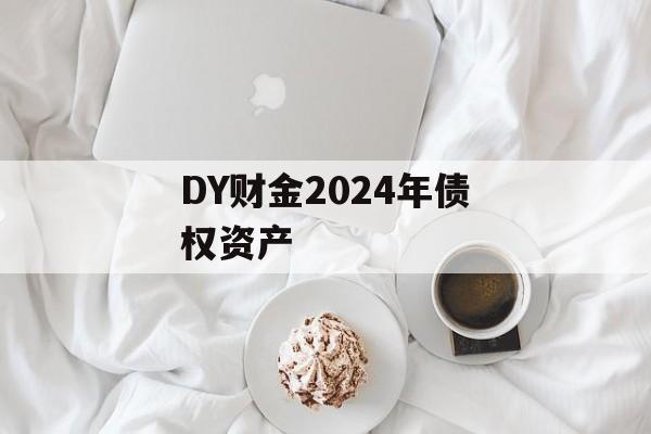 DY财金2024年债权资产