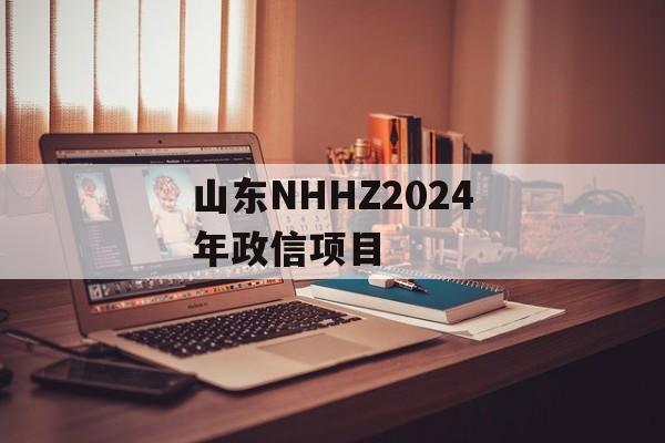 山东NHHZ2024年政信项目