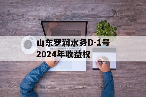 山东罗润水务D-1号2024年收益权