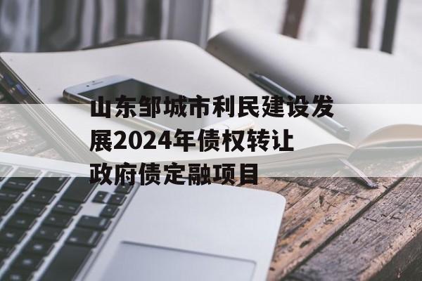 山东邹城市利民建设发展2024年债权转让政府债定融项目