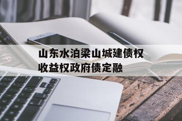 山东水泊梁山城建债权收益权政府债定融