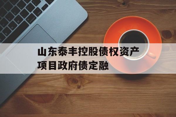 山东泰丰控股债权资产项目政府债定融